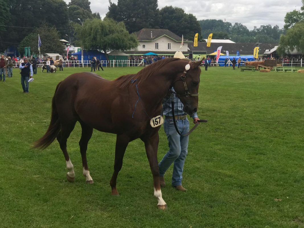 d04c0691-3648-4a7a-be05-7d065074fa86