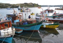 Investigan robo de embarcaciones en Chiloé