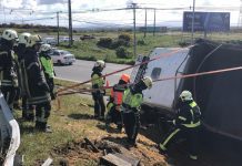Camión cargado con animales vacunos se volcó en el ingreso norte a la ciudad de Puerto Montt