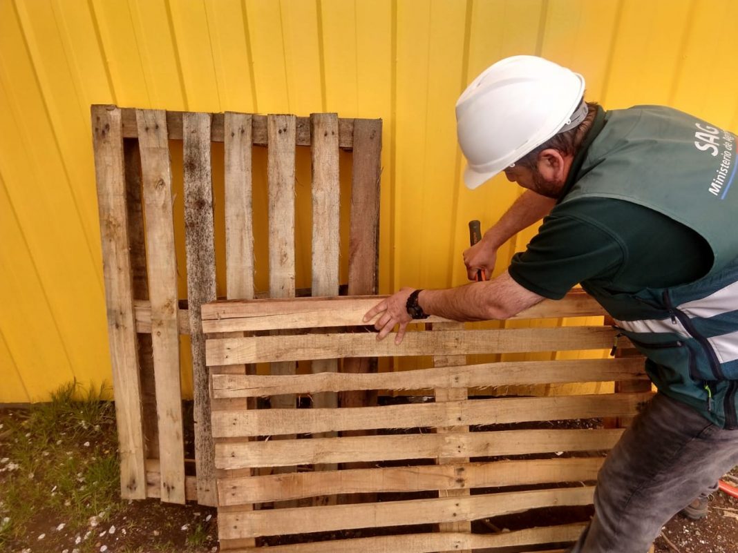 pallets 4