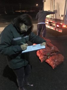 4.000 kilos de papas sin documentación de origen decomisó el SAG de región de Los Lagos