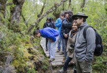 Turismo Municipal en Chiloé molesto con directora Sernatur por inasistencia a reunión