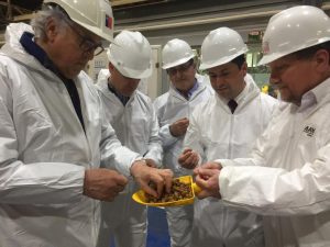 El agro en tres años sería abastecedor de alimento para salmones