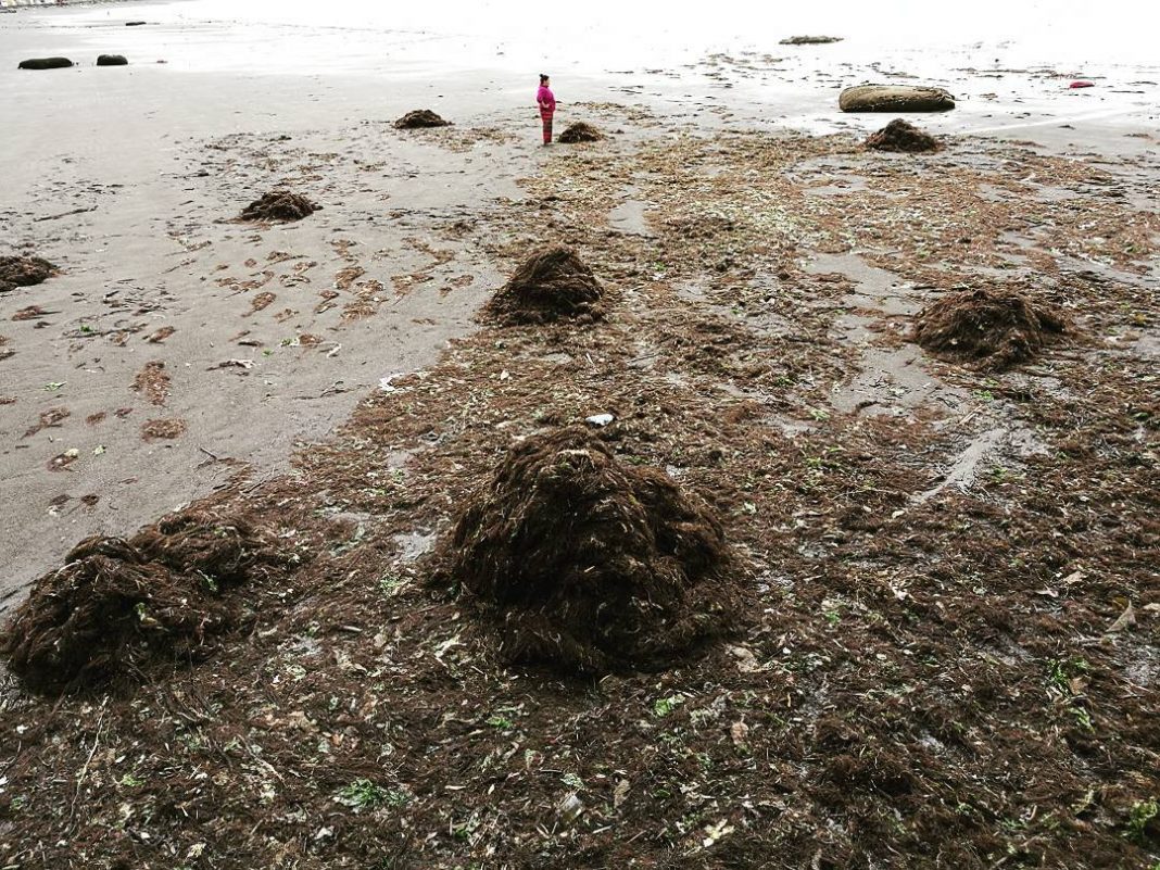 22580341_355102224935992_3316794885247336448_n