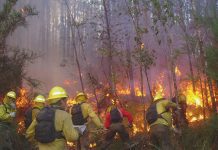 CONAF prohíbe uso del fuego en quemas controladas