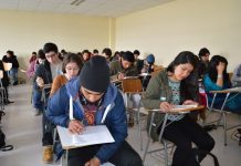PSU: Cinco puntajes nacionales son extranjeros y 14 pertenecen a pueblos originarios