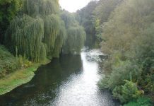 Red Ambiental Ciudadana Osorno formaliza denuncia por contaminación de río Damas ante Autoridad Sanitaria