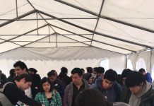 Diseñadores gráficos, actualización permanente de las nuevas tecnologías