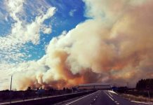 Con Alerta Temprana Preventiva se mantiene la Región de Los Lagos por amenaza de incendios forestales