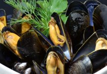 Corfo invita a postular a concurso sobre nuevas ideas para la industria de los choritos