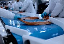 Año récord para el salmón: envíos superarán los US$5.000 millones, su mejor registro histórico