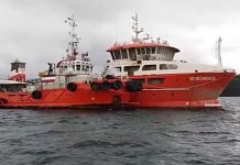 Lodos del Seikongen fueron finalmente descargados en la región del Bío Bío