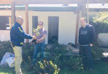 PDI Valdivia recupera plantas de arándano robadas desde predio agrícola