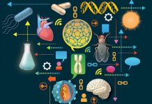 Presidente Piñera pondrá hoy en marcha el nuevo Ministerio de Ciencia y Tecnología