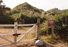 Gobierno anuncia multas de hasta 5 millones de pesos para quienes impidan libre acceso a playas