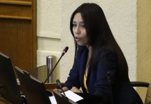 Diputada RN de origen mapuche arremete contra Emilia Nuyado: “No es representante de los pueblos originarios”