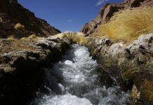 Silala: La Haya relata argumentos y cartas de Chile y Bolivia para nueva fase del juicio