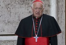 Víctimas de abusos valoran eventual revocación de nacionalidad de Ezzati