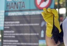 Funcionaria del Servicio de Salud de Palena continúa grave tras contagio por virus Hanta