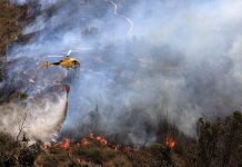Incendios forestales afectan a Limache, Villa Alemana, Quilpué y Viña del Mar