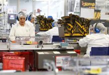 La actividad económica creció 3,1 % en noviembre