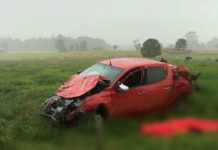 Conductor fallece en grave accidente automovilístico en cercanías de Puerto Octay