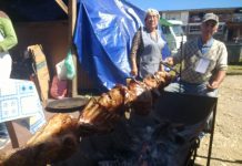 Conoce la nutrida parrilla programática Verano 2019 en Puyehue