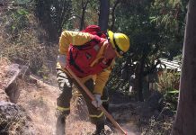 Gobierno implementa curso exprés para capacitar a 675 nuevos brigadistas en combate de incendios
