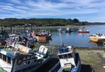 Sindicatos de pescadores interpondrán un recurso de protección por uso del borde costero