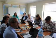 Directora Nacional de Sernapesca se reunió con Directores regionales de la Macro Zona Sur