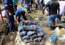 En Calbuco que realizó la 18° versión del tradicional Curanto Gigante