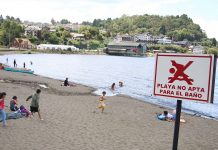 Seremi de Salud constató altos niveles de contaminación por coliformes fecales en Playa Centro de Puerto Varas