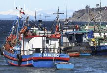 Pescadores Artesanales valoran que se derogue la actual ley de pesca