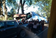 Bus con decenas de niños vuelca en comuna de Puerto Octay