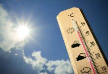 Hasta los 38° llegarían los termómetros este fin de semana en la región de Los Lagos