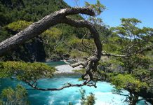 Adultos mayores de la región tendrán acceso gratuito a parques nacionales