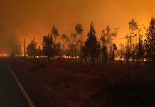 Resumen nacional de incendios forestales emitido por ONEMI