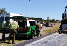 Trágico accidente en Frutillar cobró la vida de turista Argentino
