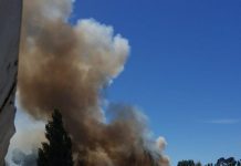 Incendio Forestal obligó un intenso operativo en plena zona residencial de Castro