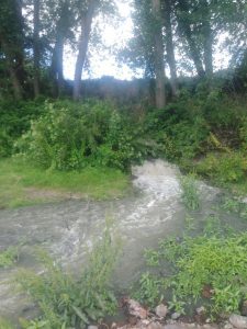 Alertan sobre derrame de Aguas Servidas al río Rahue en Osorno