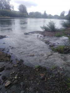 Alertan sobre derrame de Aguas Servidas al río Rahue en Osorno