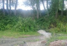 Alertan sobre derrame de Aguas Servidas al río Rahue en Osorno