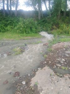 Alertan sobre derrame de Aguas Servidas al río Rahue en Osorno