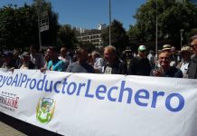 Productores lecheros se manifiestan y entregan carta a Piñera por crisis del sector