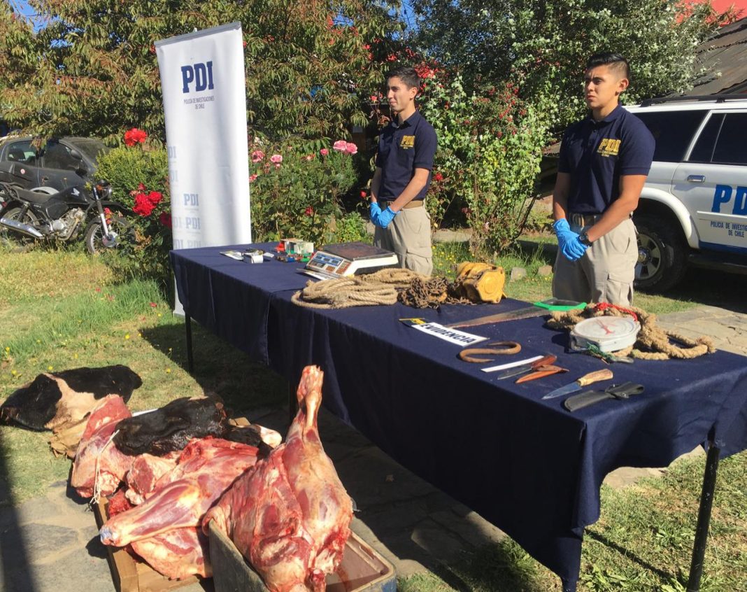 WhatsApp Image 2019-01-31 at 3.21.36 PM