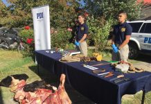 Valdivia: PDI detiene in fraganti a banda que se dedicaba a cometer abigeatos