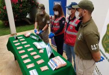 Carabineros: Incautación de droga sintética aumentó en un 573% el 2018 en Chile