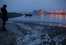 Asociación de Mitilicultores de Chile llamó a la calma por Marea Roja en Quellón