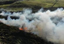 Región de Los Lagos mantiene Alerta Temprana Preventiva por amenaza de incendio forestal