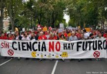 Solicitan que Valdivia sea nombrada macrozona del Ministerio de Ciencia y Tecnología